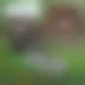 Višenamenski alat za održavanje tla u bašti | PRONGSPRO