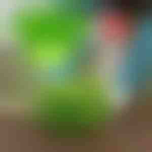 Držite štetočine podalje uz VEGISHIELD (10 kom)