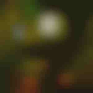 Solarne lampe (6kom) | LUMITRAD