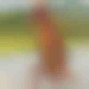 Kostim na naduvavanje dinosaurusa | TREKSCOS