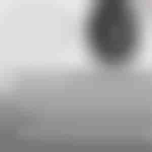 Brzo zaptivajući ekseri za popravku guma (60 komada) | VULCOFIX