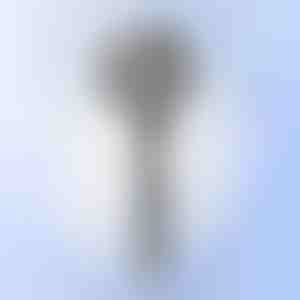 Multifunkcionalna masažna tuš glava | SHOWERELAX